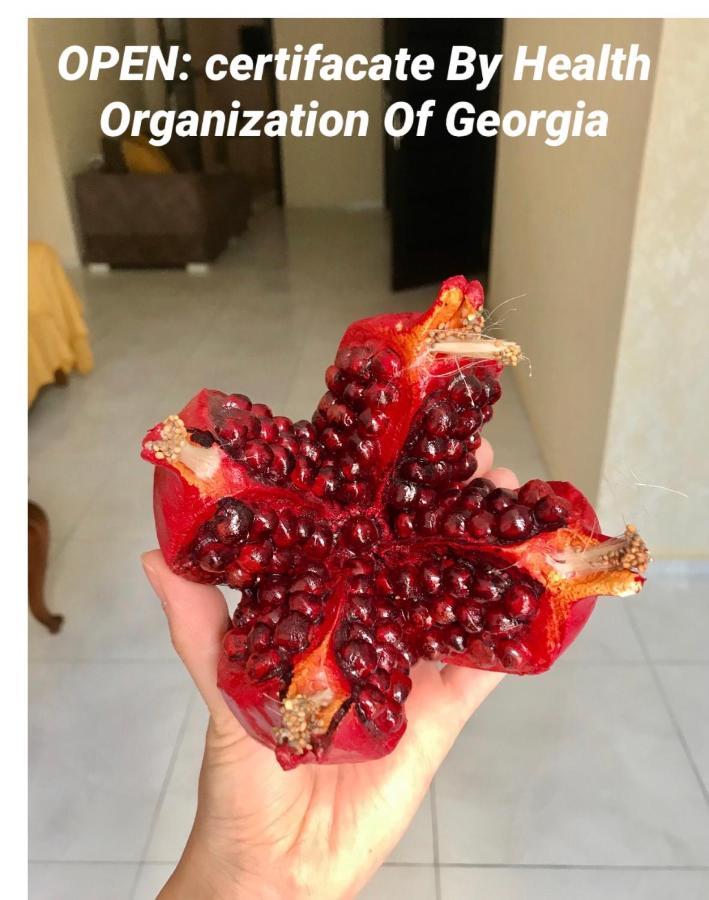Pomegranate Hotel クタイシ エクステリア 写真